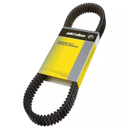 Drive Belt 417300571