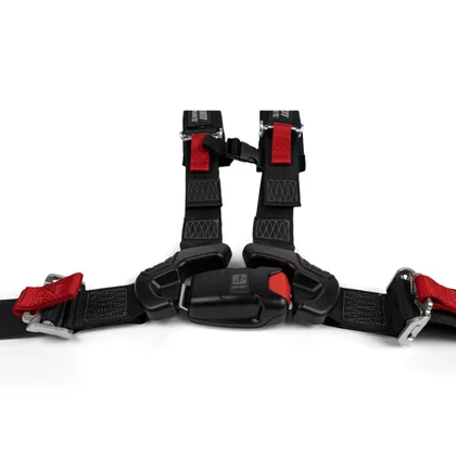 4-Point Harness