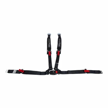 4-Point Harness